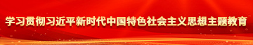 嗯~骚货还要~视频学习贯彻习近平新时代中国特色社会主义思想主题教育